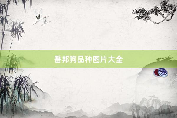 番邦狗品种图片大全