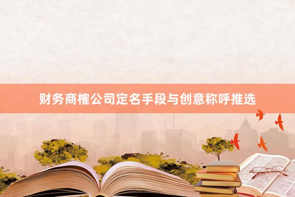 财务商榷公司定名手段与创意称呼推选